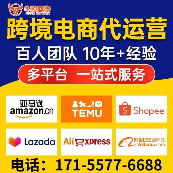 东方电商代运营