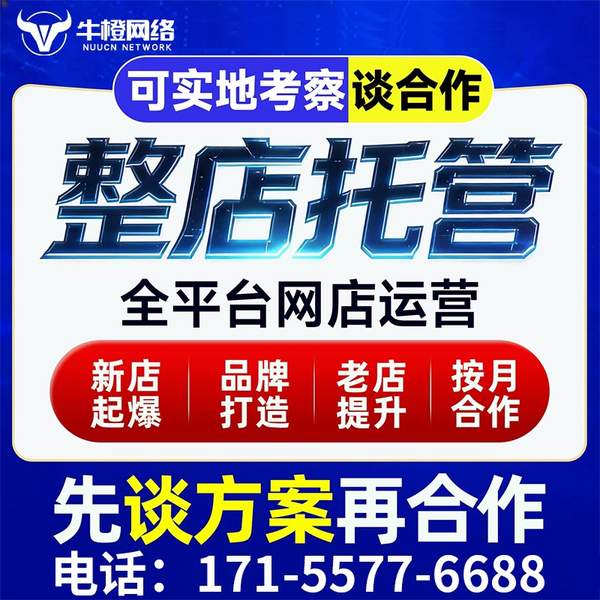 东方电商代运营
