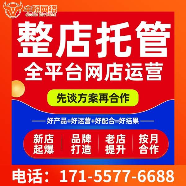 东方电商代运营
