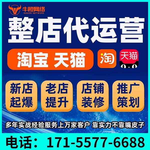 东方电商代运营