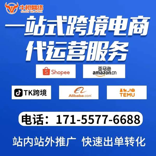 东方电商代运营
